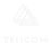 Logo TRIICOM